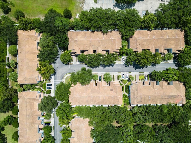 6803 Sperone St, Orlando, FL 32819 - photo 45