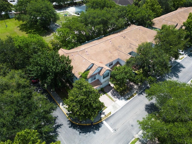 6803 Sperone St, Orlando, FL 32819 - photo 48
