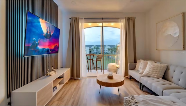 8103 Coconut Palm Way Unit 203, Kissimmee, FL 34747 - living room with wood finished floors
