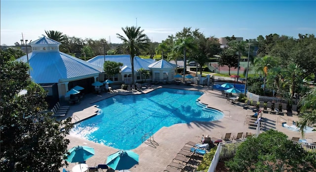8103 Coconut Palm Way Unit 203, Kissimmee, FL 34747 - community pool featuring a patio area and view of wooded area