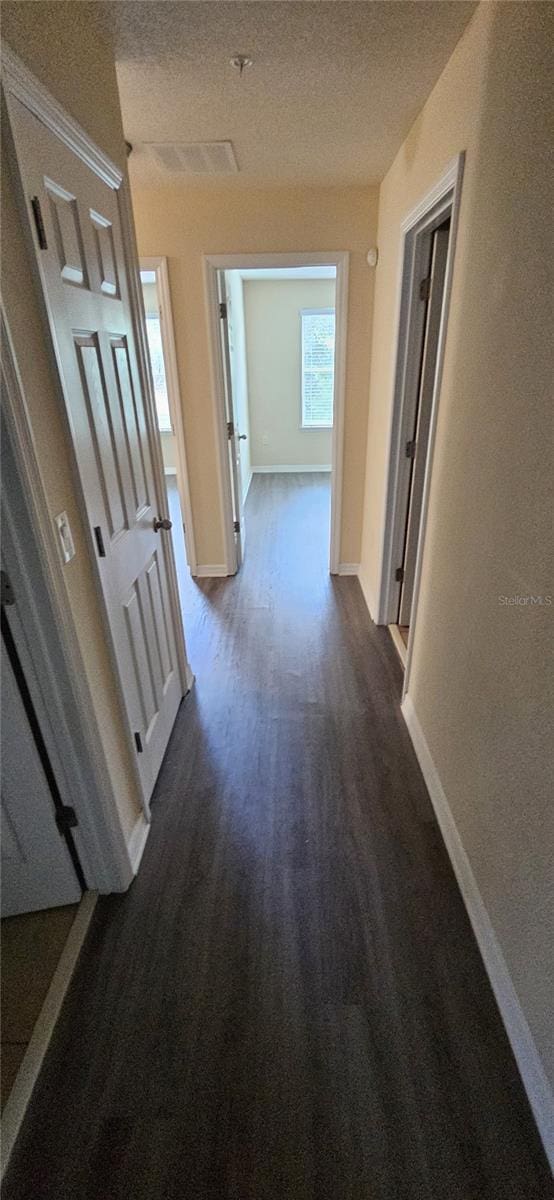 9637 Silver Buttonwood St, Orlando, FL 32832 - photo 12
