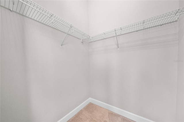 9121 Laureate Blvd, Orlando, FL 32827 - walk in closet featuring carpet flooring