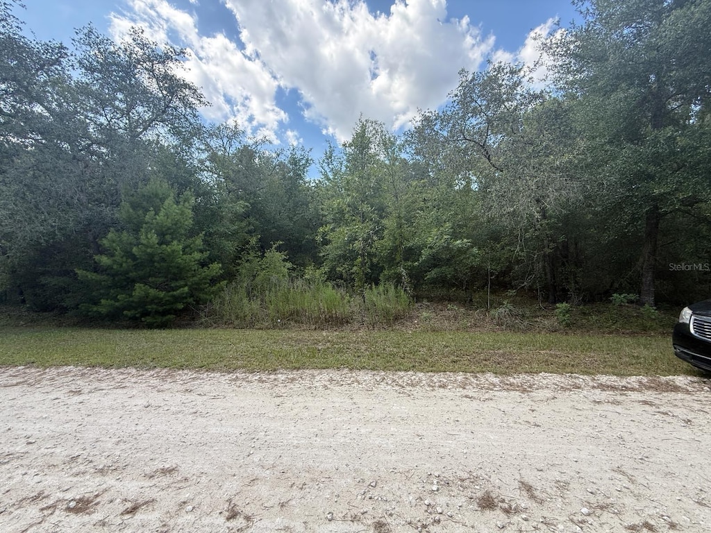 TBD 98th St, Dunnellon, FL 34432 - photo 1