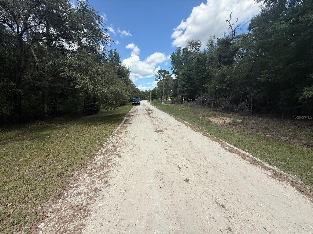 TBD 98th St, Dunnellon, FL 34432 - photo 2