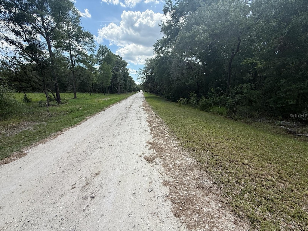 TBD 98th St, Dunnellon, FL 34432 - photo 3