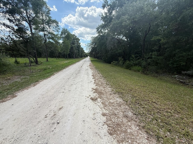 TBD 98th St, Dunnellon, FL 34432 - photo 3