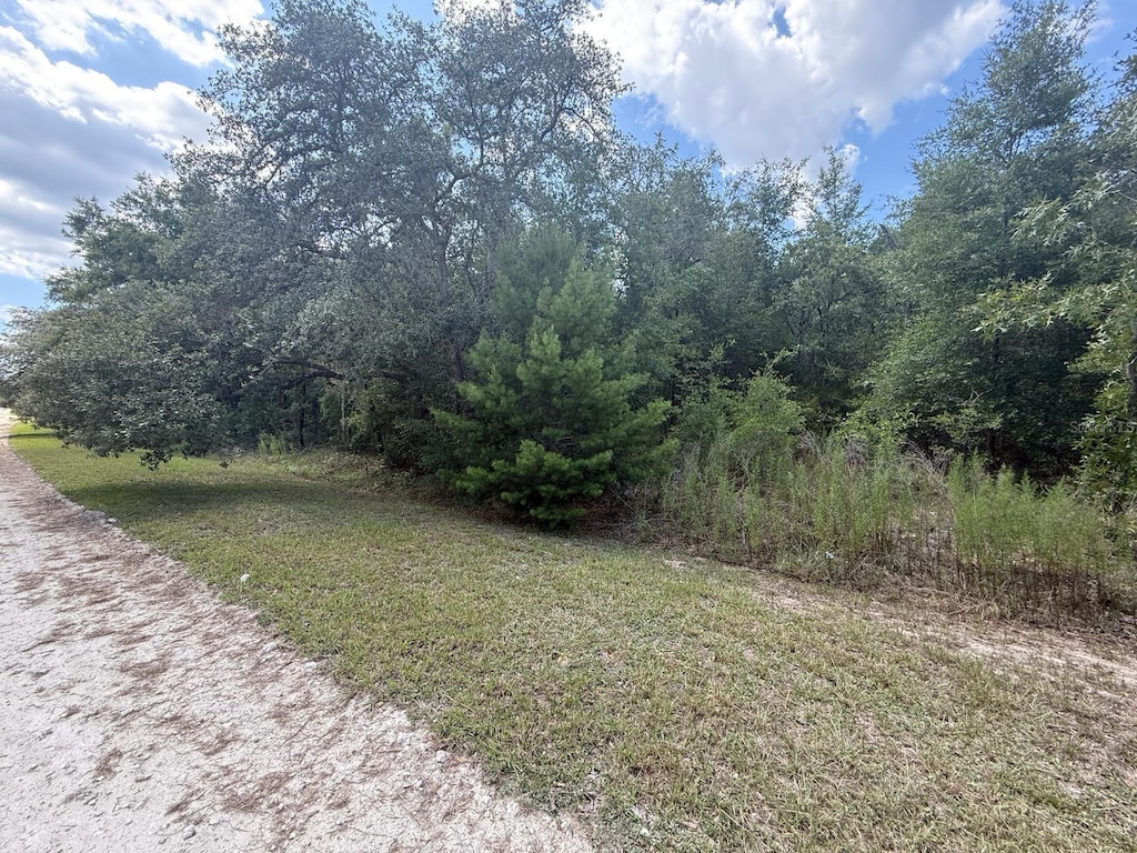 TBD 98th St, Dunnellon, FL 34432 - photo 4