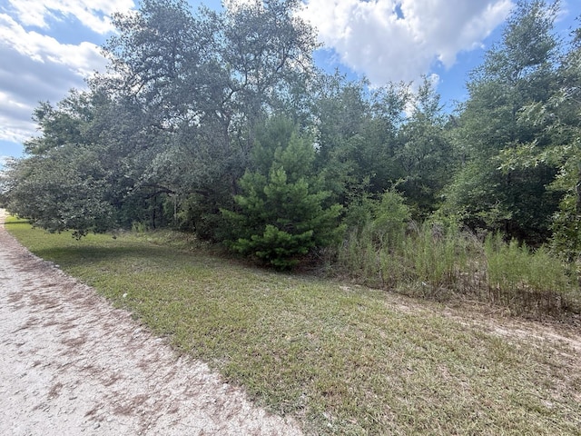 TBD 98th St, Dunnellon, FL 34432 - photo 4