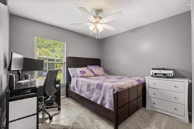 3217 Whooping Crane Run, Kissimmee, FL 34741 - photo 16