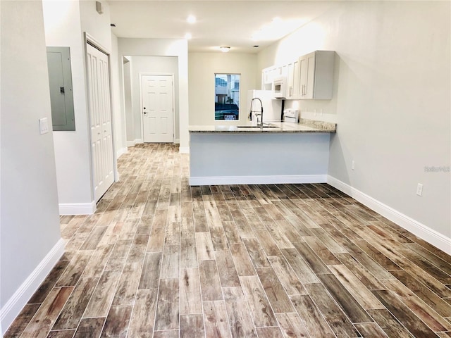 710 Leopard Ct Unit A-B, Kissimmee, FL 34759 - kitchen featuring electric panel, wood finished floors, and white microwave