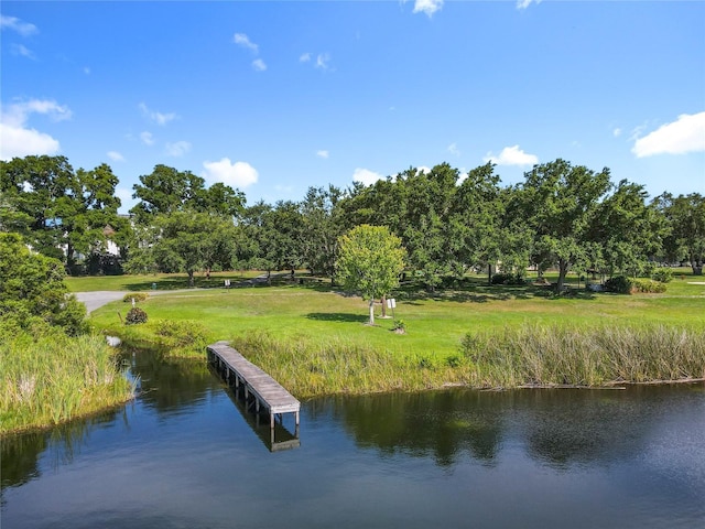 5312 Kingswood Dr, Orlando, FL 32810 - photo 59
