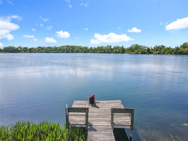 5312 Kingswood Dr, Orlando, FL 32810 - photo 73
