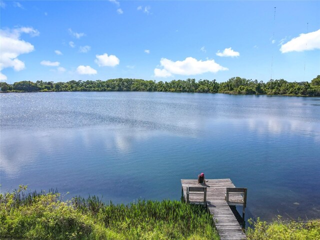 5312 Kingswood Dr, Orlando, FL 32810 - photo 74