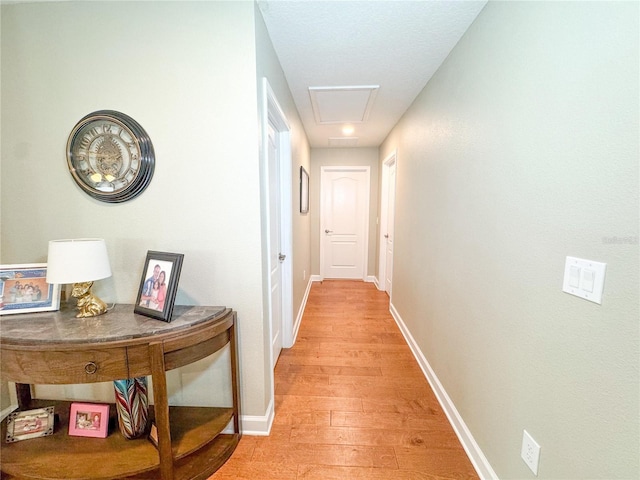 15230 Evergreen Oak Loop, Winter Garden, FL 34787 - photo 55