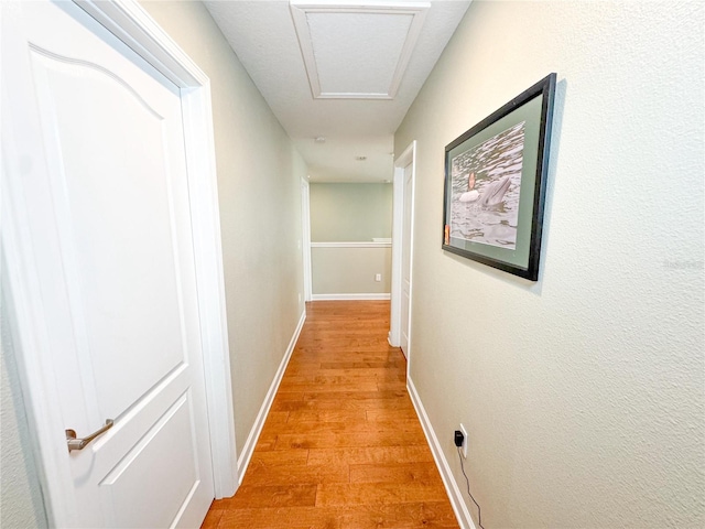 15230 Evergreen Oak Loop, Winter Garden, FL 34787 - photo 61