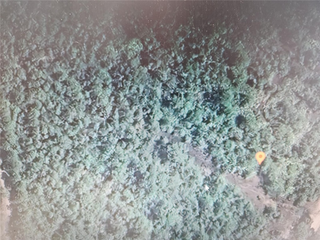 Holopaw Groves Rd, Saint Cloud, FL 34771 - photo 1
