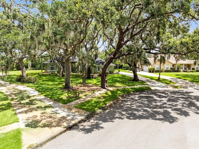 5204 Hammock Pointe Ct, Saint Cloud, FL 34771 - photo 4