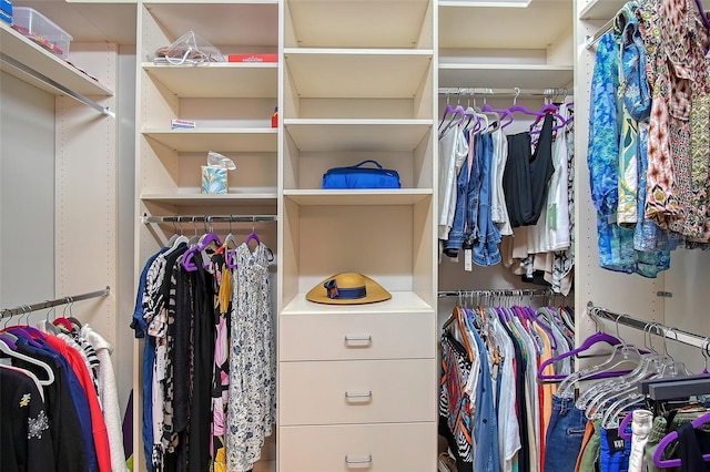 17109 Kenton Ter, Bradenton, FL 34202 - view of walk in closet