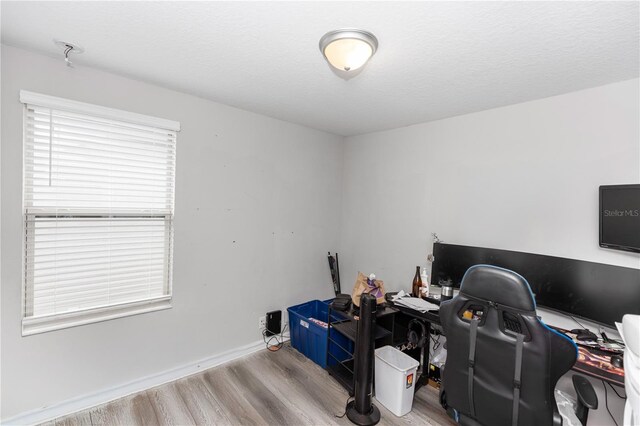 7412 Pearly Everlasting Ave, Tampa, FL 33619 - photo 17
