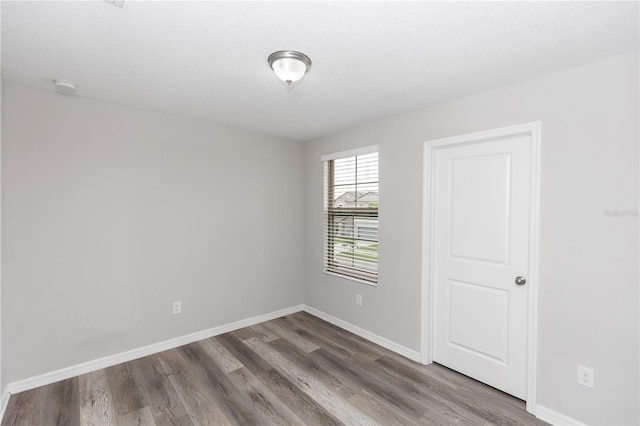 7412 Pearly Everlasting Ave, Tampa, FL 33619 - photo 19