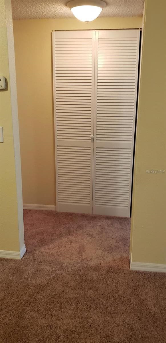 4540 Commander Dr Unit 2214, Orlando, FL 32822 - detailed view of carpet floors and a textured ceiling