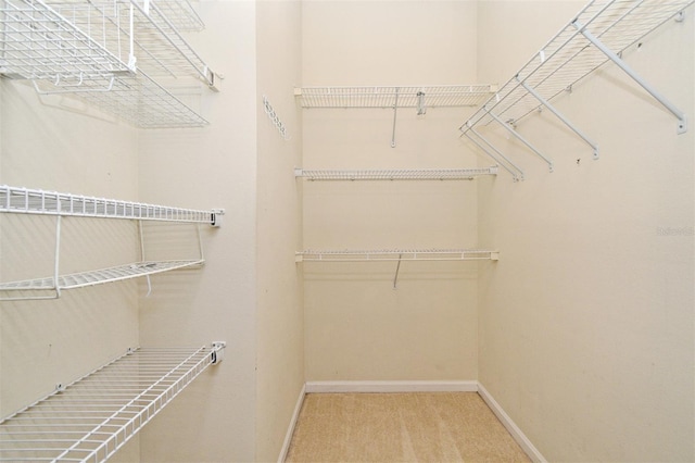 267 Goldenrain Dr Unit 30, Celebration, FL 34747 - spacious closet with carpet flooring