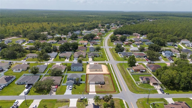 761 Parrot Ct, Kissimmee, FL 34759 - photo 28