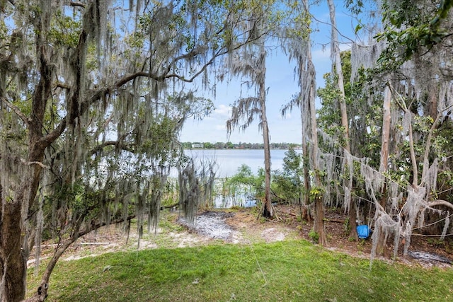 3807 S Semoran Blvd, Orlando, FL 32822 - photo 40