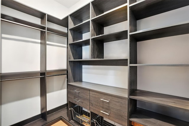 9352 Santorini Dr, Orlando, FL 32827 - view of walk in closet