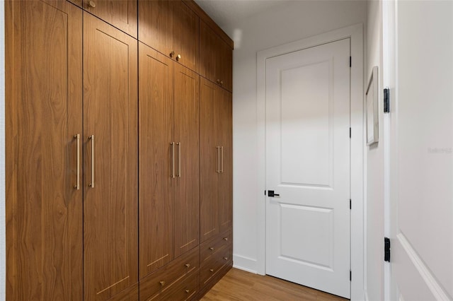 9352 Santorini Dr, Orlando, FL 32827 - view of closet
