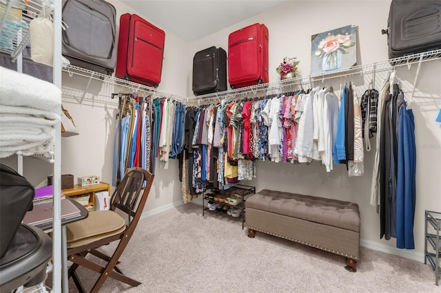 3837 Carrick Bend Dr, Kissimmee, FL 34746 - walk in closet with carpet floors