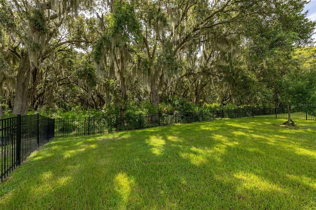 3837 Carrick Bend Dr, Kissimmee, FL 34746 - view of fenced backyard