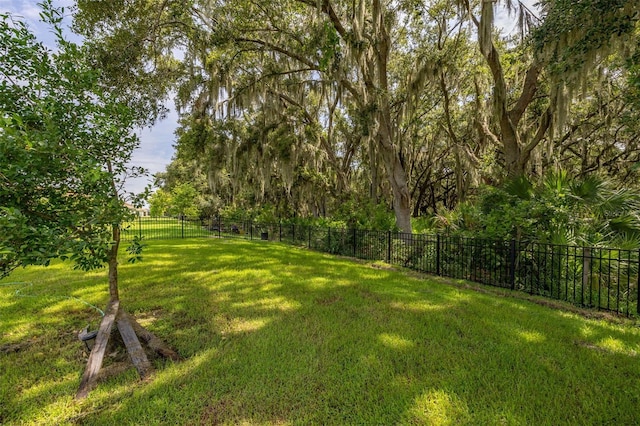 3837 Carrick Bend Dr, Kissimmee, FL 34746 - view of yard