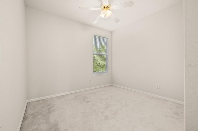 900 Greenlawn St, Celebration, FL 34747 - photo 35