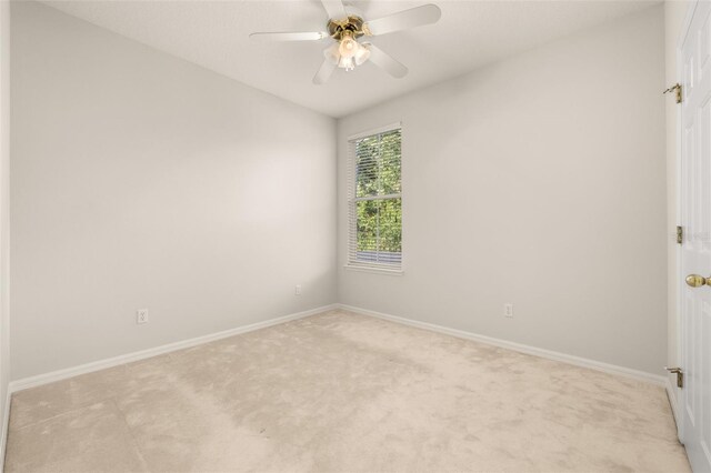 900 Greenlawn St, Celebration, FL 34747 - photo 38
