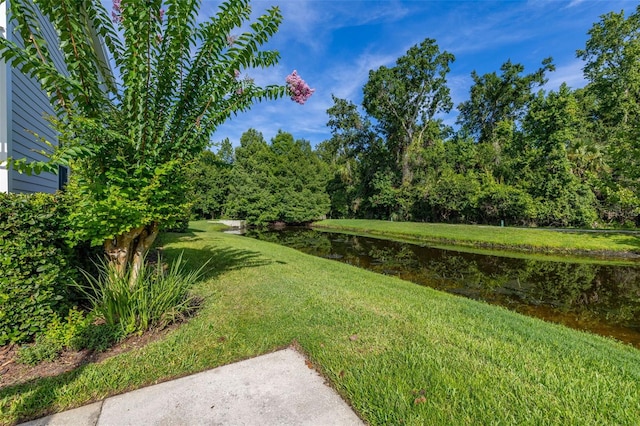 900 Greenlawn St, Celebration, FL 34747 - photo 40