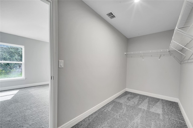 547 Viceroy Ct, Kissimmee, FL 34758 - spacious closet featuring carpet floors