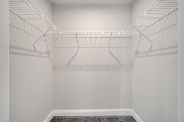 549 Viceroy Ct, Kissimmee, FL 34758 - view of walk in closet