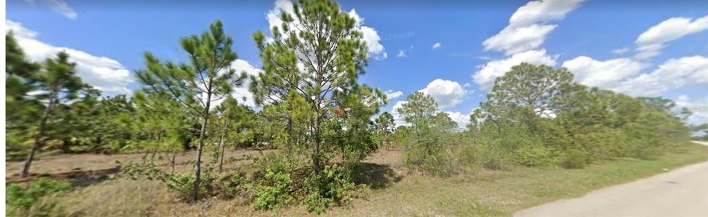 1129 Briarcliffe St, Fort Myers, FL 33913