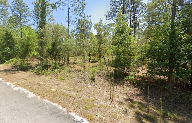 24262 NW Aspen Ln, Dunnellon, FL 34431 - photo 1