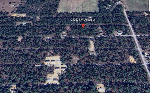 24262 NW Aspen Ln, Dunnellon, FL 34431 - photo 4