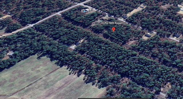 24262 NW Aspen Ln, Dunnellon, FL 34431 - photo 5