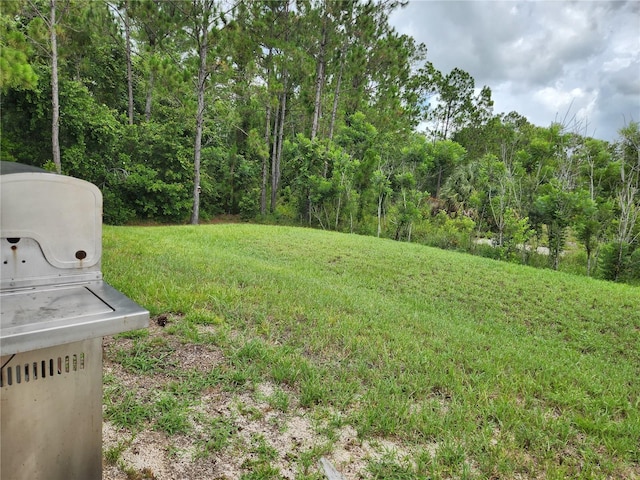 144 Hawthorne Way, Davenport, FL 33896 - view of green lawn featuring a view of trees