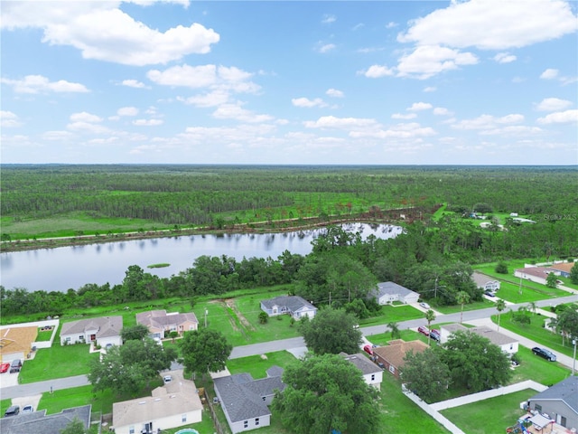 739 Paris Dr, Kissimmee, FL 34759 - photo 10
