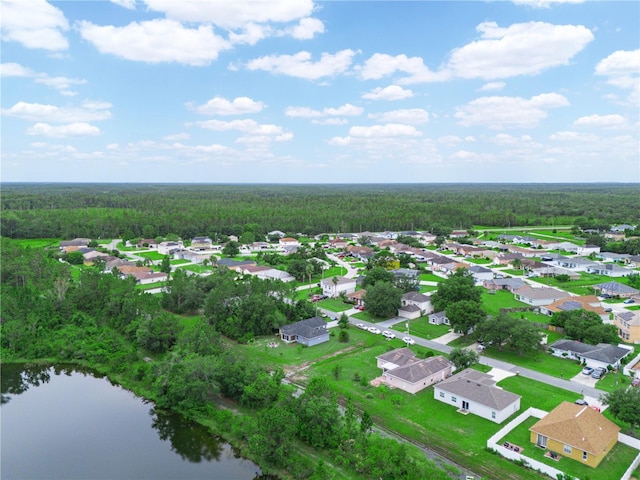 739 Paris Dr, Kissimmee, FL 34759 - photo 11