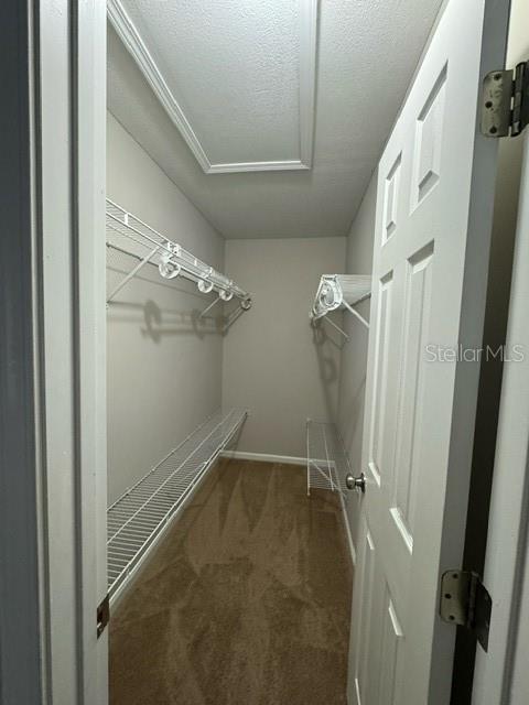 8520 Star Leaf Ct, Jacksonville, FL 32210 - photo 11