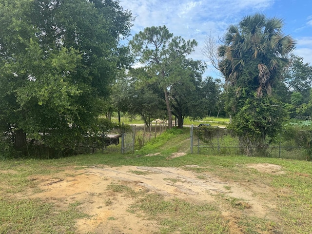 TBD Whitney St, Mount Dora, FL 32757 - photo 25