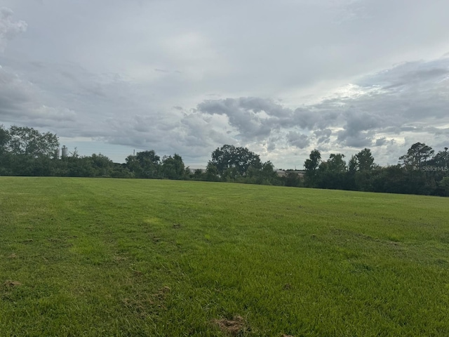 TBD Whitney St, Mount Dora, FL 32757 - photo 19