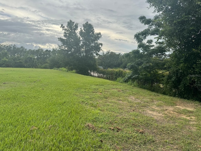 TBD Whitney St, Mount Dora, FL 32757 - photo 21