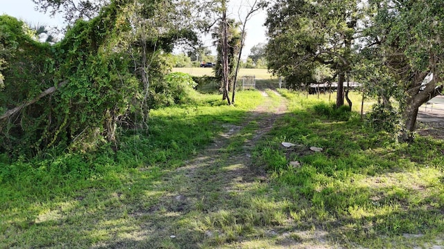 TBD Whitney St, Mount Dora, FL 32757 - photo 13